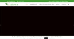 Desktop Screenshot of castinsa.com